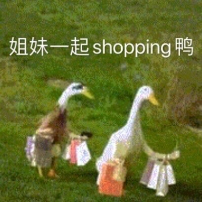 姐妹,一起拉屎 表情包