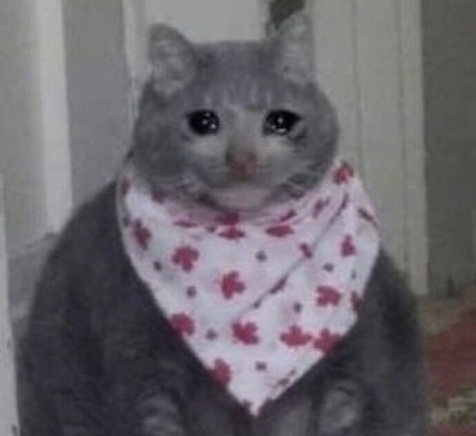 流泪猫猫头/哭泣猫猫/crying cat/哭哭猫/猫咪/表情包