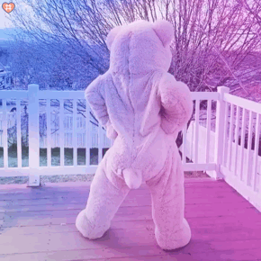 跳舞泰迪熊表情包