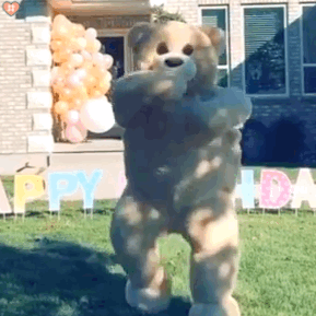 井井原创 玩偶熊跳舞表情包 泰迪熊人偶尬舞gif动图 蹦迪 搞笑逗比