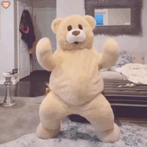 小熊跳舞表情包图片