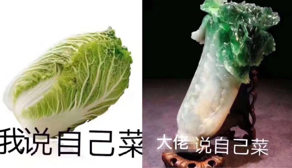 菜菜带带表情包图片