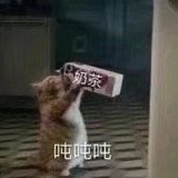 猫咪表情包,沙雕头像