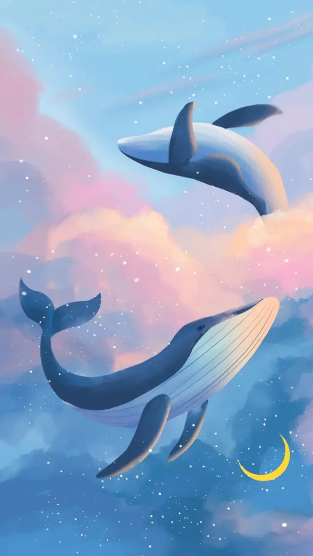 小鲸鱼手机壁纸图片