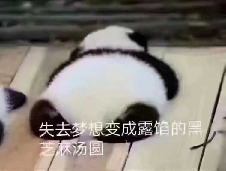 熊猫给爷死的表情包图片