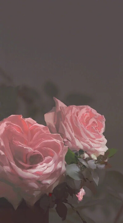 ins 壁纸 风景 礼貌拿图