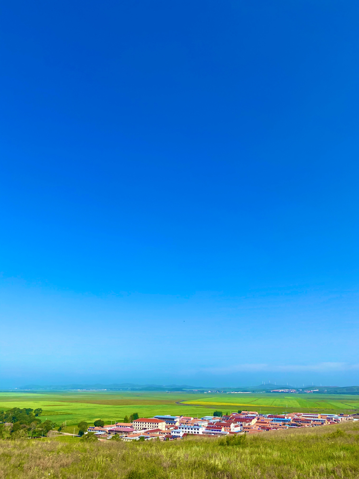 草原竖屏风景手机壁纸图片