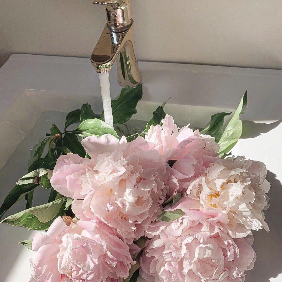 背景图壁纸背景ins q