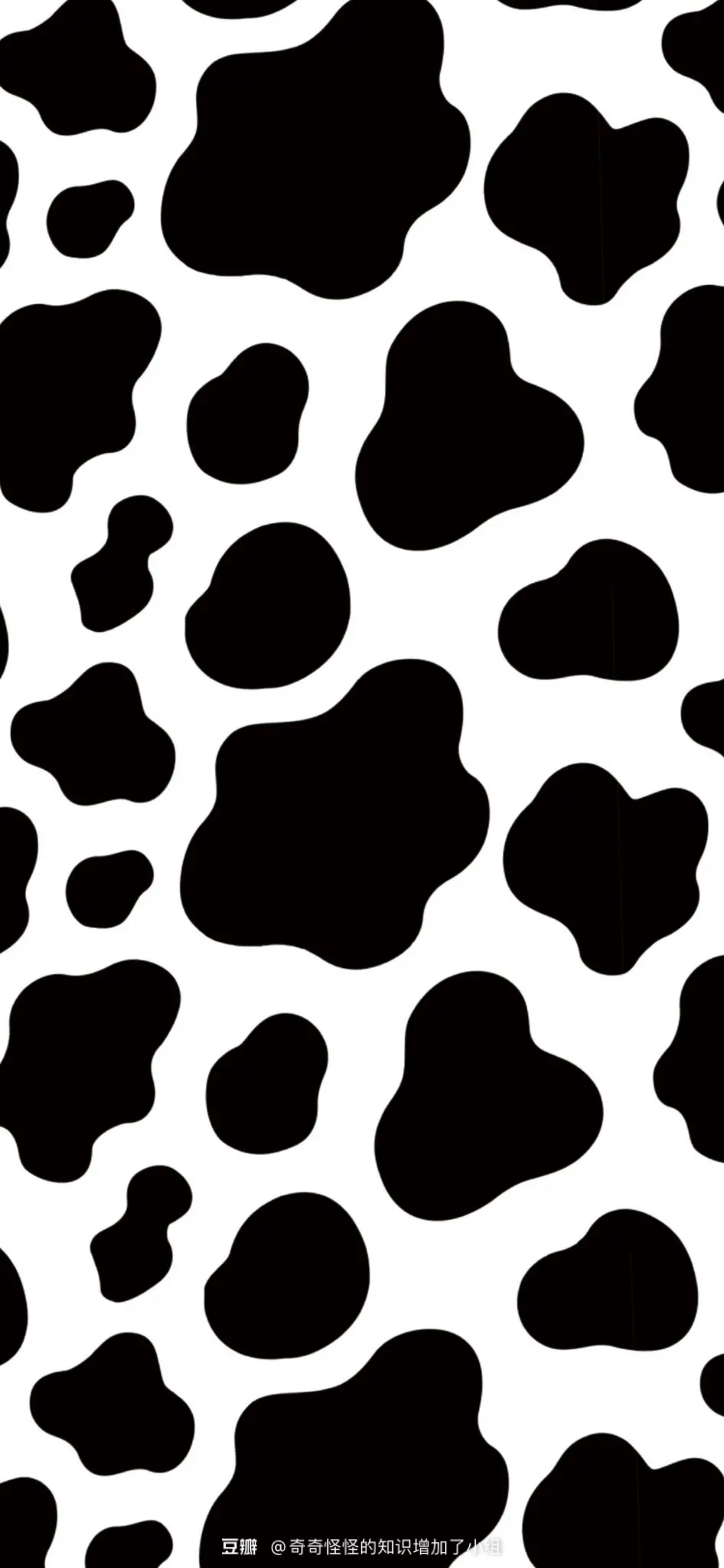 奶牛身上的花纹图片图片