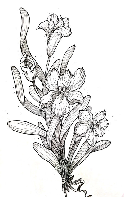 花卉图案黑白线描稿图片