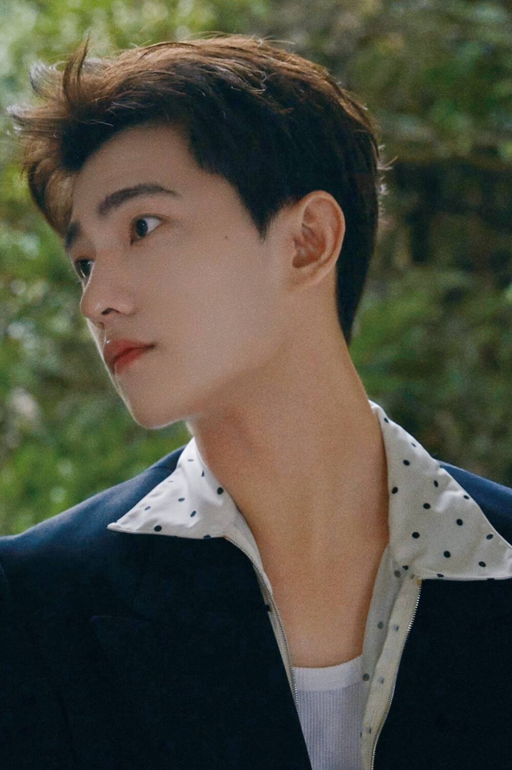 杨洋- 堆糖,美图壁纸兴趣社区