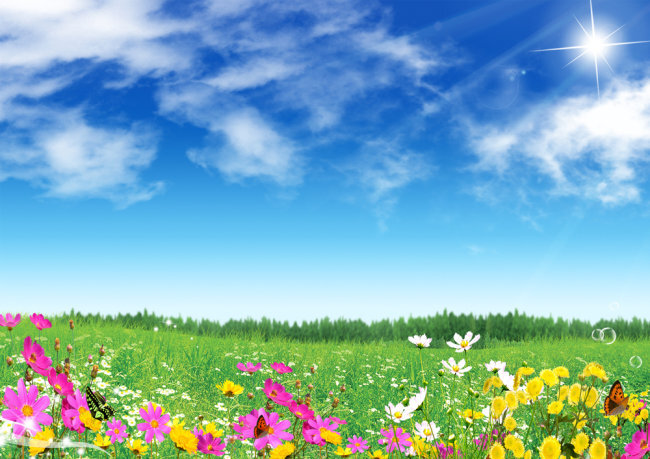蓝天白云花朵风景设计模板高清背景图