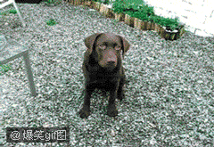 举起手来!