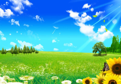 蓝天白云绿叶花朵高清风景展板模板背景图