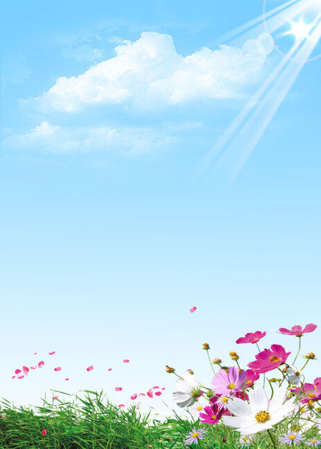蓝天白云鲜花草地背景图片