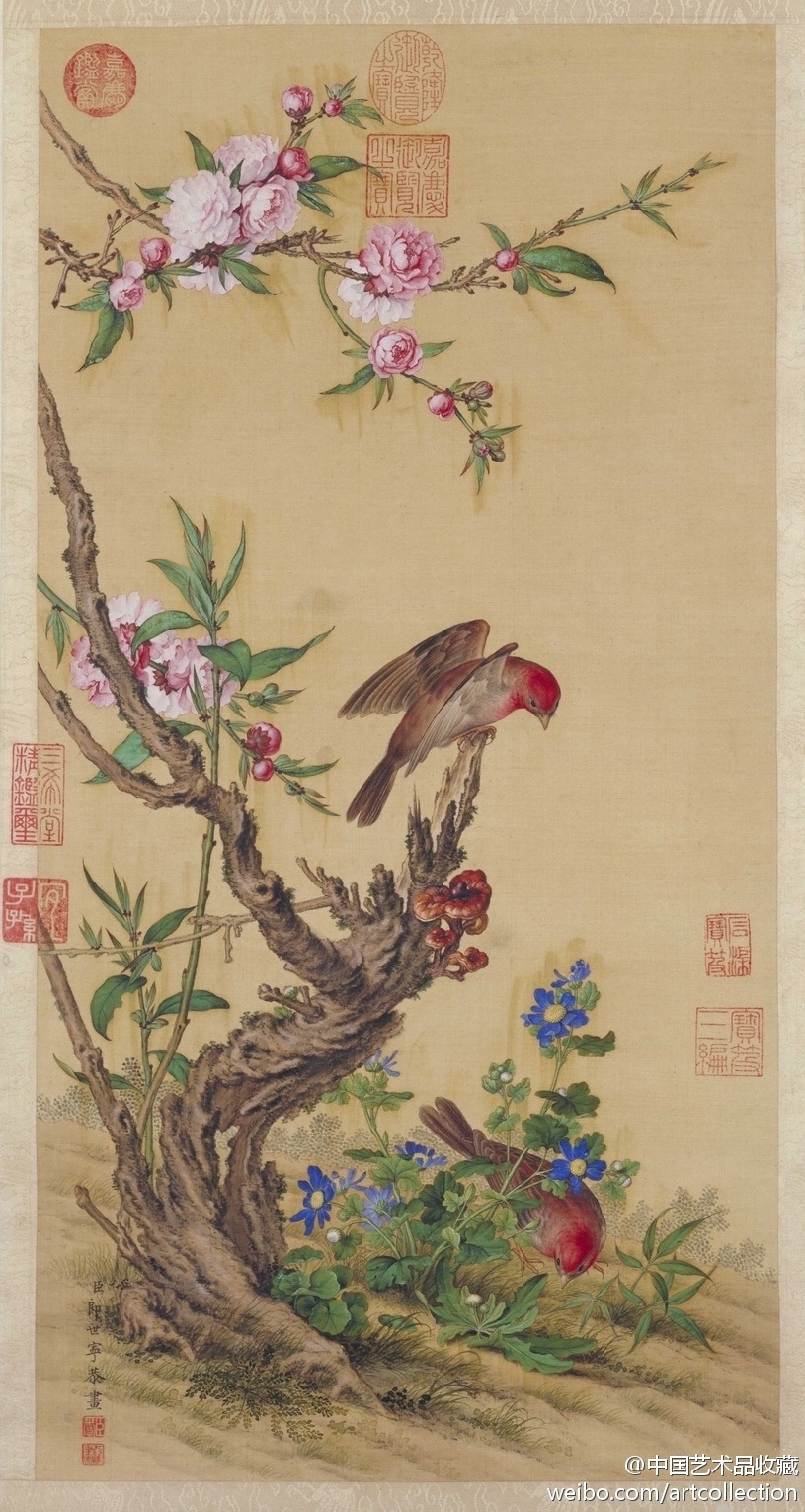清郎世宁《花鸟图》 】轴，绢本设色，63.7×32.3cm，北京故宫博物馆藏