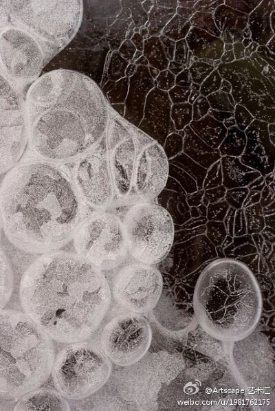 有建筑和生物学背景的艺术家jessica rosenkrantz创作的3d打印作品