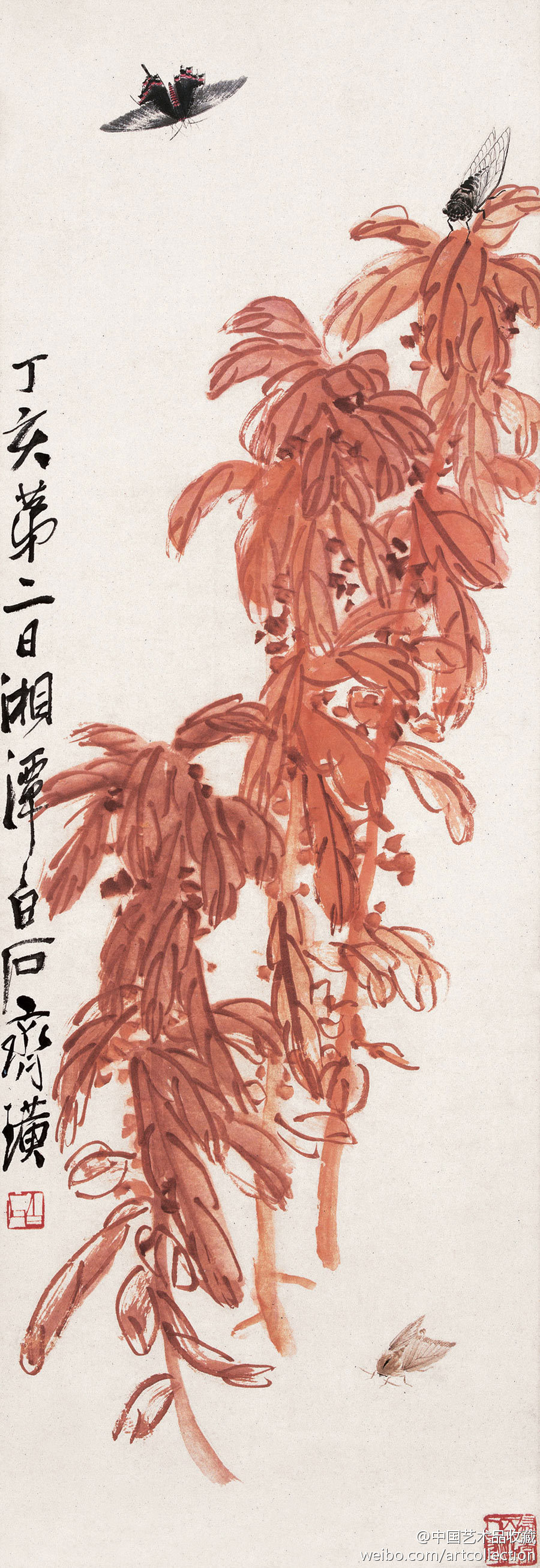 齐白石《雁来红】轴,纸本设色,98×34cm,1947年作.