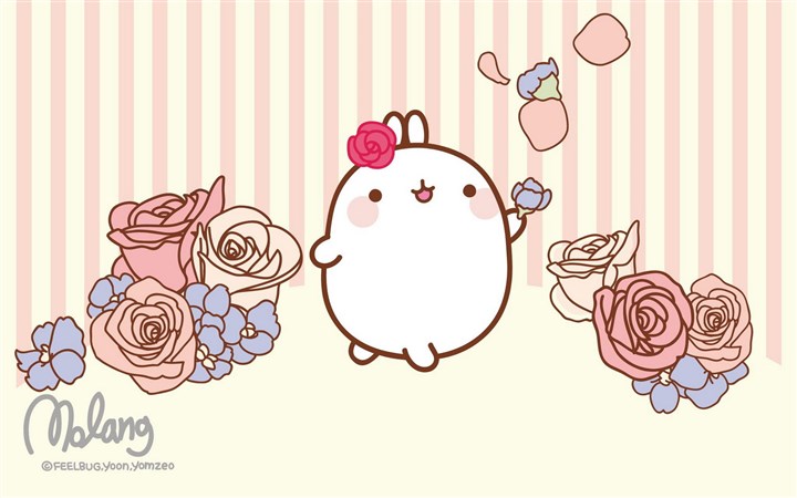 molang 韩国可爱胖乎乎卡通兔子高清桌面壁 www.tuzhan.