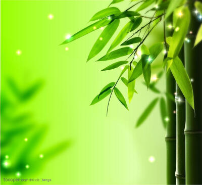 竹子背景高清图片下载图片设计