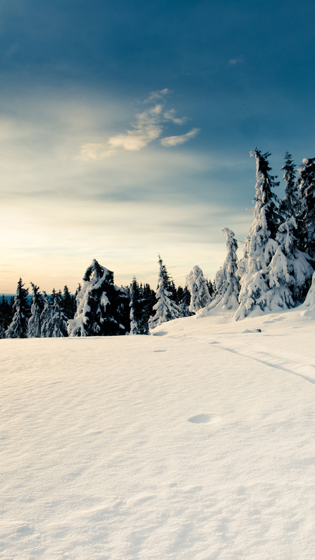 Snow Forest Iphone 5s Wallpaper 堆糖 美图壁纸兴趣社区