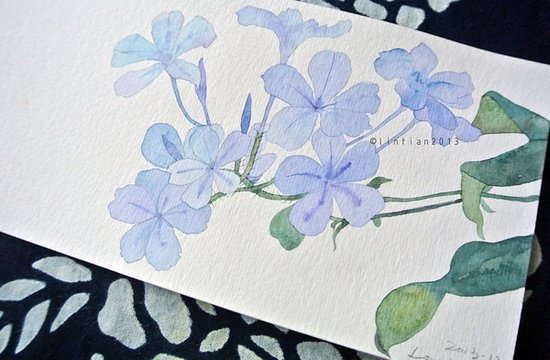 水彩花草(1)