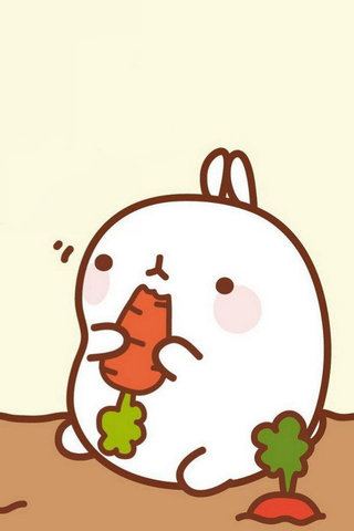 可爱胖兔molang卡通iphone 5手机壁纸 第一辑