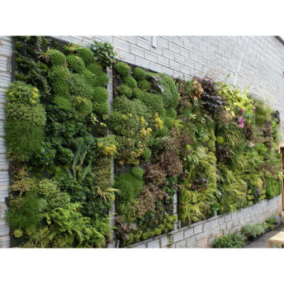 公司办公楼墙面装饰绿化生态饰品墙壁花园仿真绿色植物墙假植物