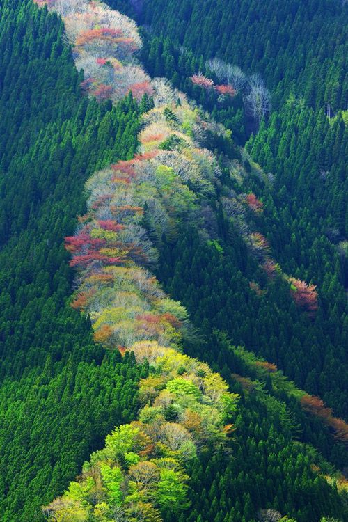春天,天川村山,奈良,日本 堆糖,美图壁纸兴趣社区