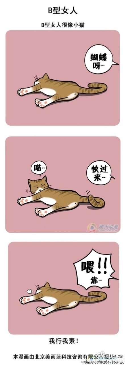 b型女人像小猫