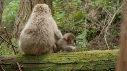 哼哼,想偷偷溜走?ε=ε=ε=ε=ε=ε=┌()
