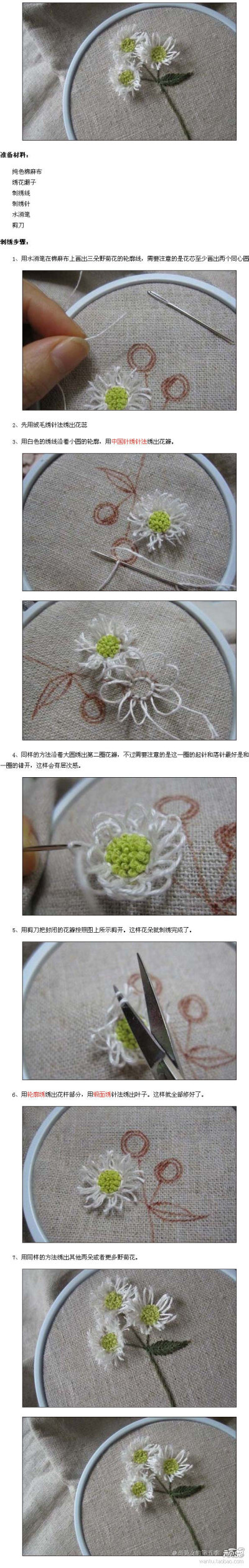 绒毛绣雏菊