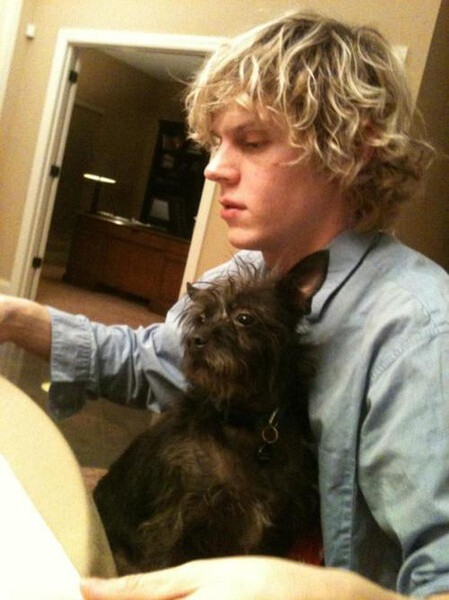 埃文·彼得斯 evan peters 图片