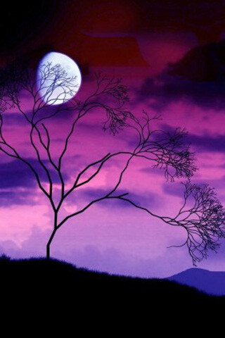 清新紫色夜景月亮iphone手机图片壁纸 堆糖 美图壁纸兴趣社区