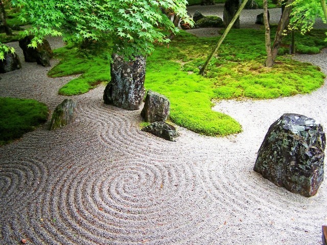 波浪线即代表水纹 静中有动,水木相生,枯山水并不枯.