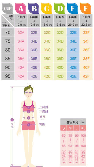 文胸尺码对照表,文胸的尺码,胸罩的尺寸, 34 36 38 a b c杯解释