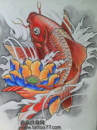 彩色鲤鱼莲花纹身图案