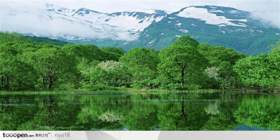 漂亮山景-雪山山绿油油的森林高清摄影图片素材