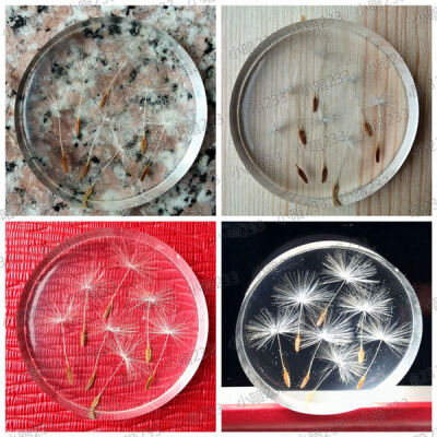 【有货啦】手工 干花 树脂 水晶滴胶 花朵 标本 飘散的蒲公英