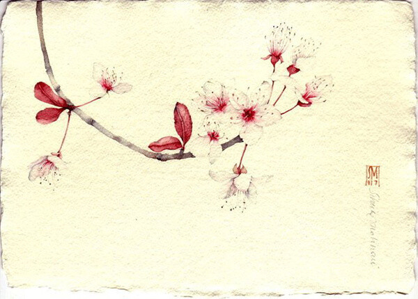 【杏雪素笺】古风素雅水彩手绘插画 青梅煎好的茶,亦如当年的味道