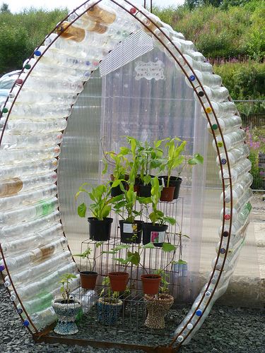 diy#recycled plastic bottle greenhouse 牛人用饮料瓶造的迷你温室