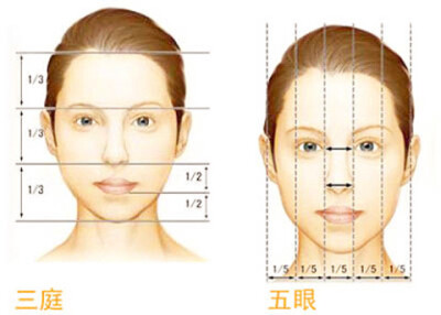 【三庭】指脸的长度比例,把脸的长度分为三个等分,从前额发际线至眉骨