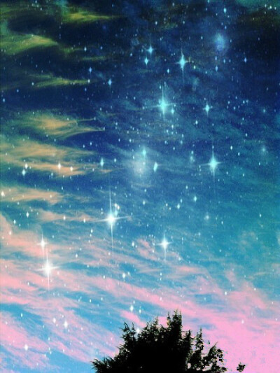 逃跑计划《夜空中最亮的星》