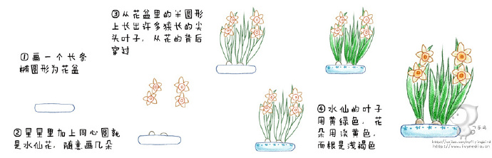 水仙花 