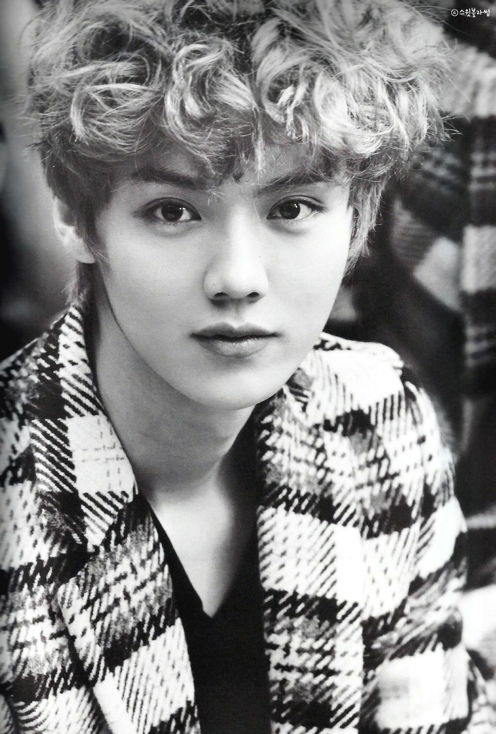 exo #mr.鹿晗