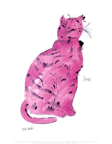 每一只猫都叫sam—by:andy warhol(安迪·沃霍尔)