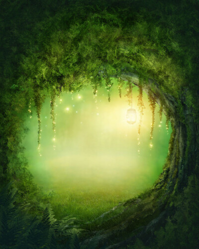 梦幻灯光的树林仙境图片