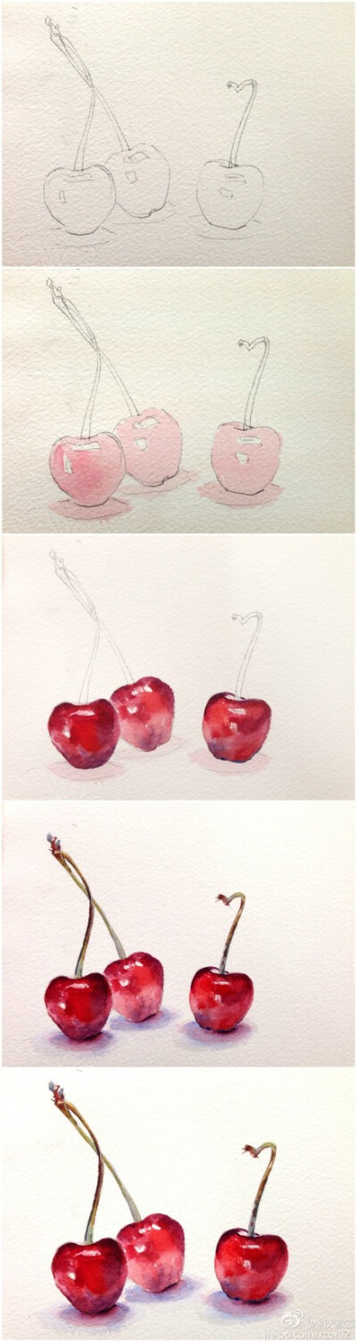 【绘画教程】樱桃
