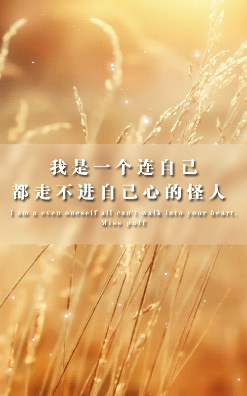 堆糖-美好生活研究所