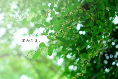 生活就是这样,人生会面对不同的选择,不管你的选择是什么,请别忘记:路